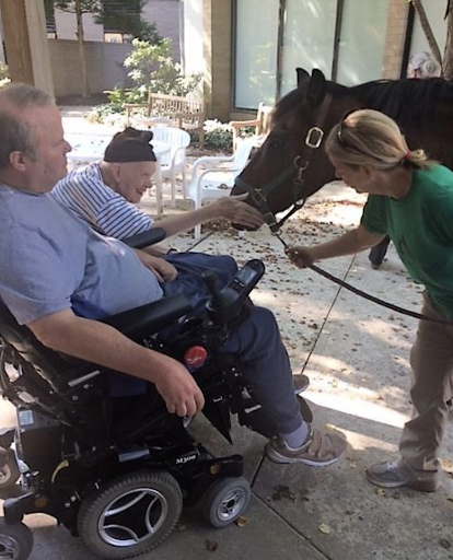 two older people in wheelchairs interact with a horse as a woman holds the lead