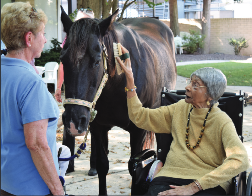 woman in a wheelchair brushing a horse as another woman looks on