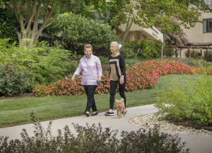 two women walking along a road with a small dog